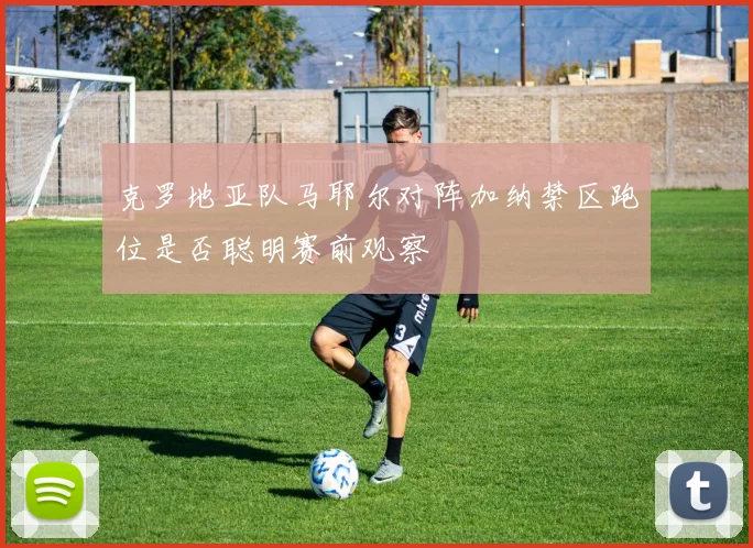 克罗地亚队马耶尔对阵加纳禁区跑位是否聪明赛前观察