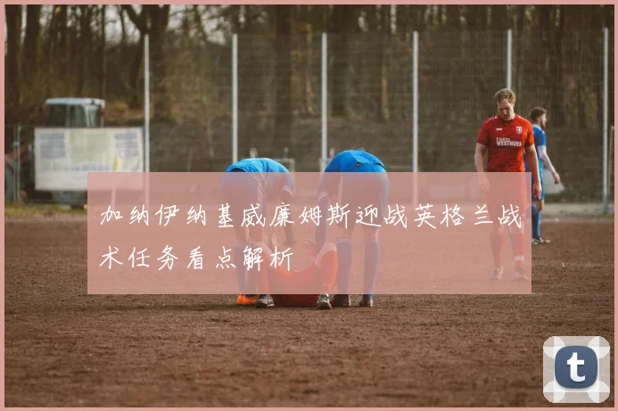 加纳伊纳基威廉姆斯迎战英格兰战术任务看点解析