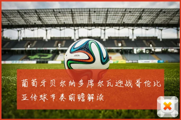 葡萄牙贝尔纳多席尔瓦迎战哥伦比亚传球节奏前瞻解读